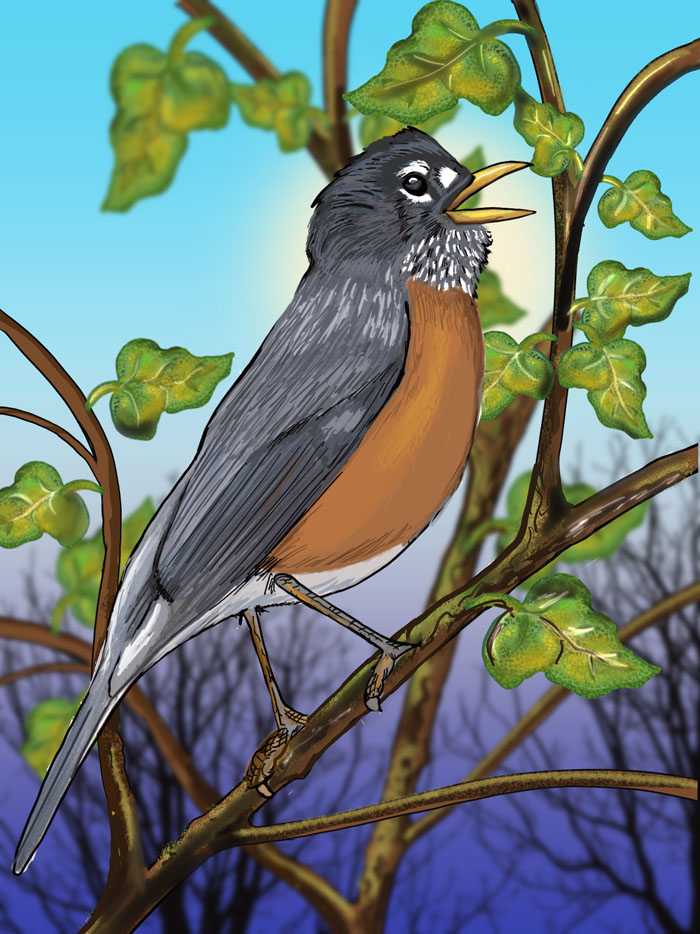 Bird