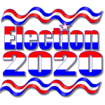 icon election 2020