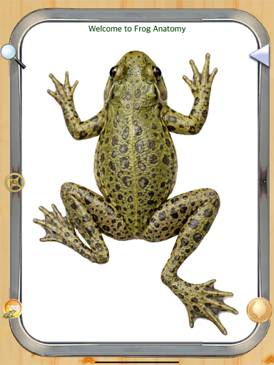 target totals screen